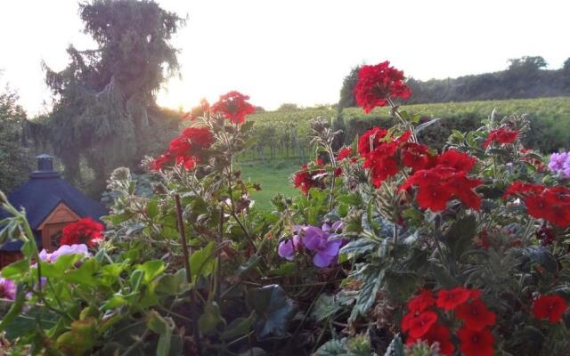 Zum Rebberg Ferienwohnungen