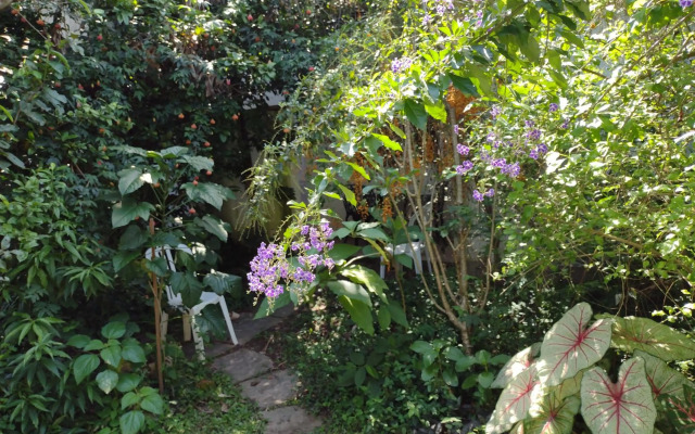 Apartamentos de Férias por Temporada Martim De Sá