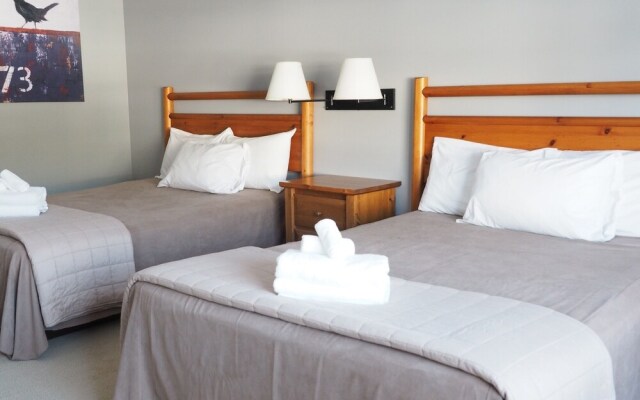 Apex Inn 201 - 1 Br Condo