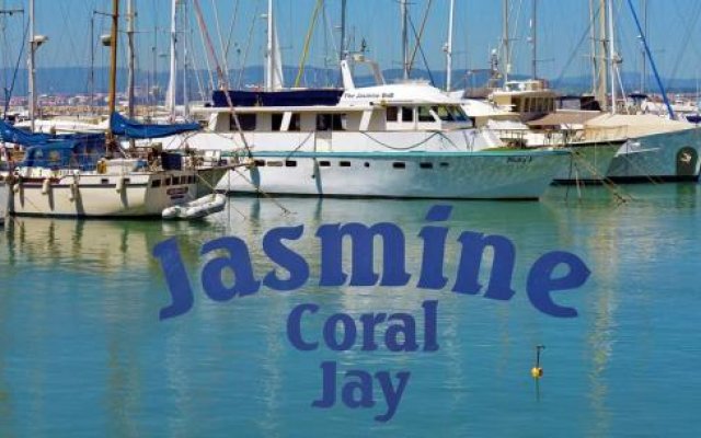 Jasmine Coral Jay