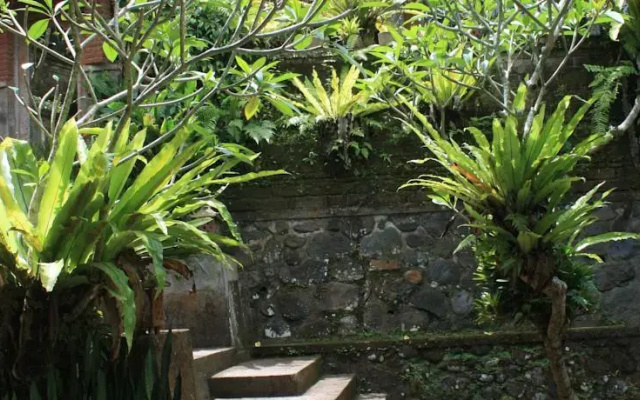 Pager Bungalows