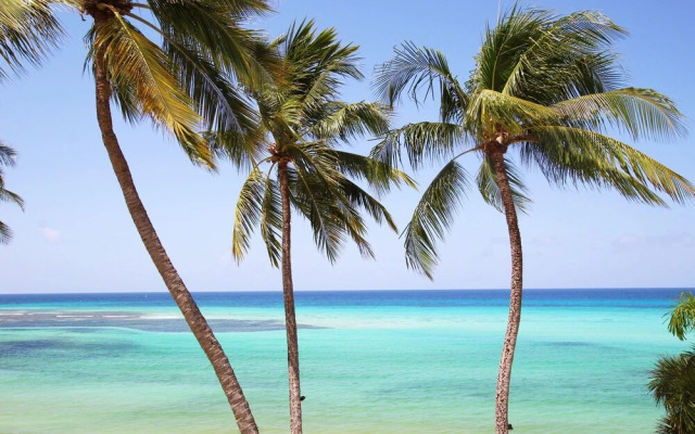 Leith Court Beachfront Apartments