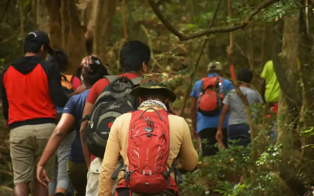 Explorer by Eco Team - Knuckles