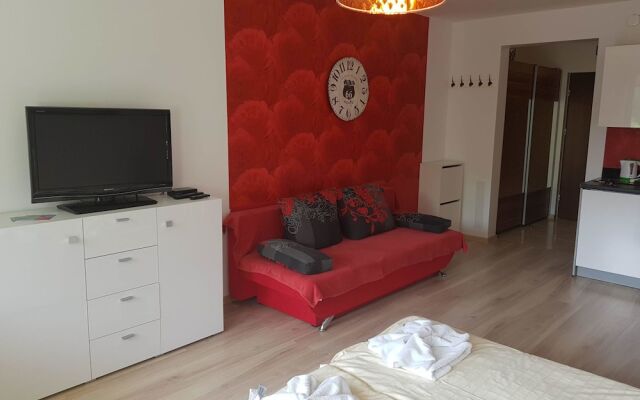 Apartament - Zdrojowa 18