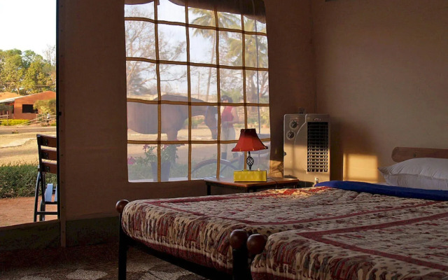 Embassy International Riding School