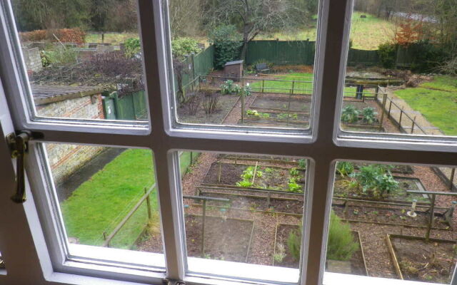 Black Dog Farm