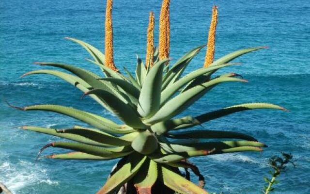 Delicious Monster Retreat and Restaurant