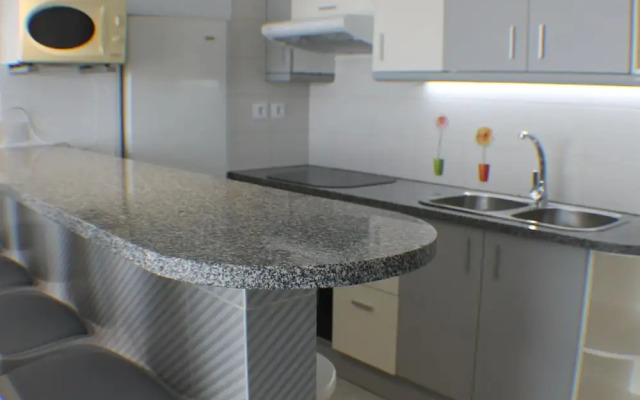 Pi Sunyer 4 1A in Roses