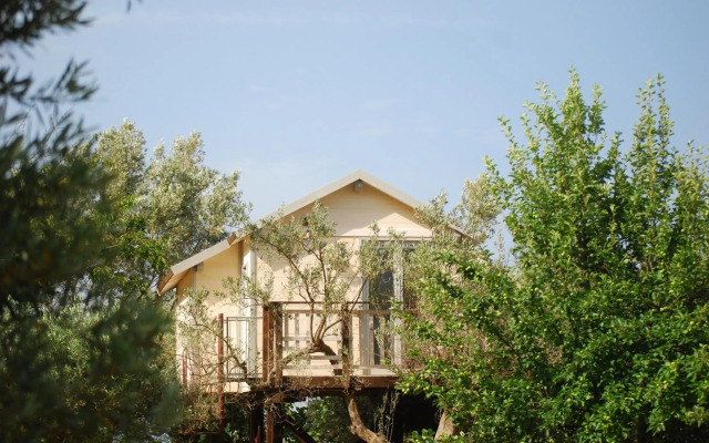 Palazzo Conforti Tree House Resort