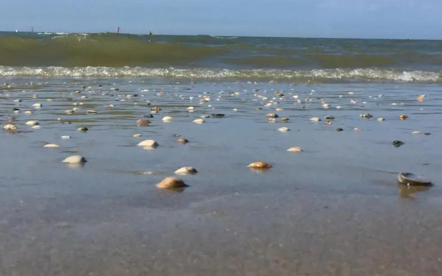 Sea You Hotel Noordwijk