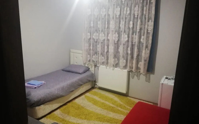 New House