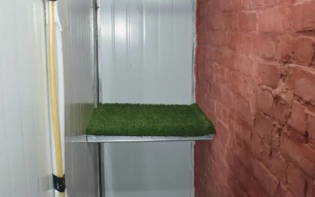 Private Rooms with International Airport View