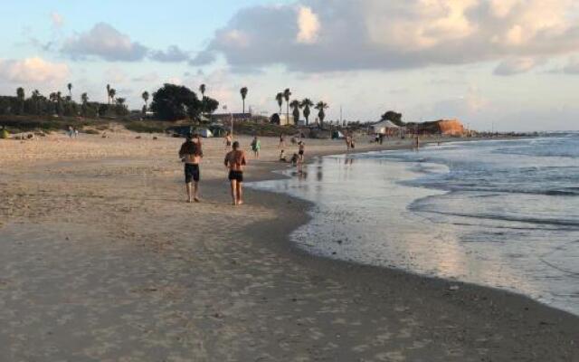 Caravans Through The Nature