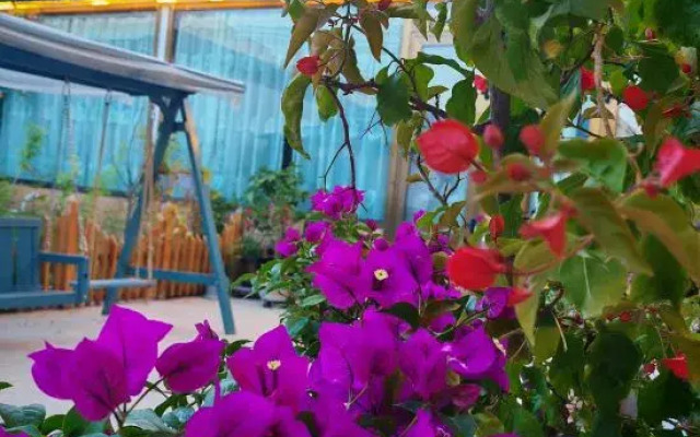 Turks Yan Geer Homestay