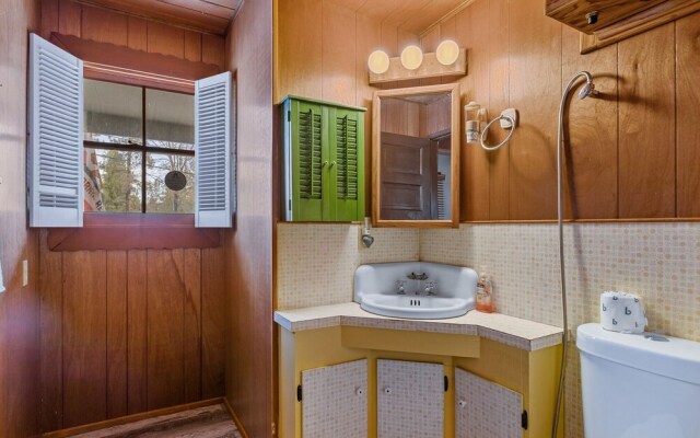 Happy Bear Cabin Hike, Bike & More!