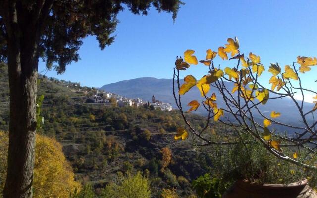 Cortijo Buena Vista