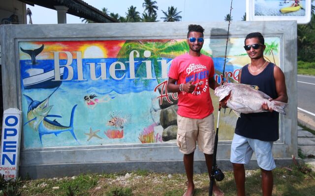 Bluefin Adventure