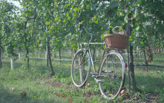 Agriturismo da Zeffi