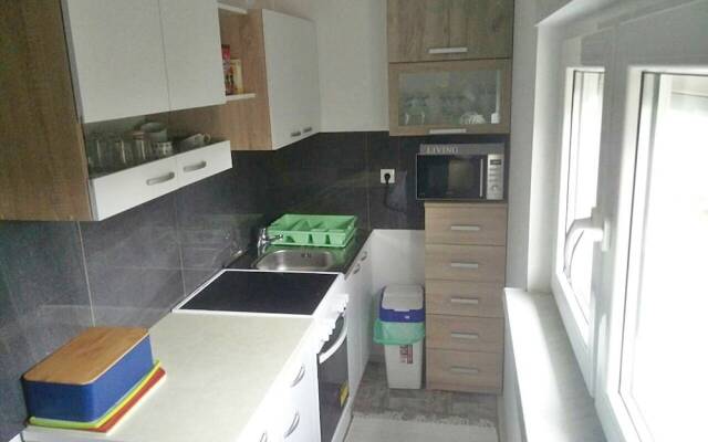 Apartment Damjan
