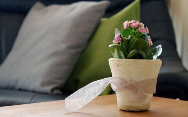 Holiday Apartment Lohr-drewes 2