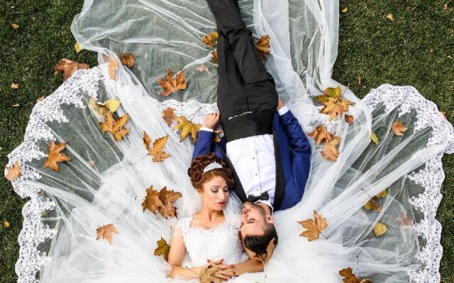 Holiday Inn St. Louis West Six Flags by IHG