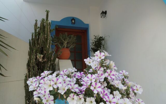 Studios Matina