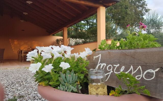 Agriturismo L'Ulivo