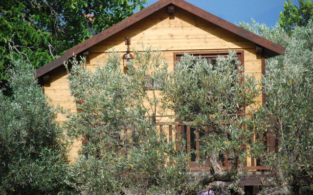 Palazzo Conforti Tree House Resort