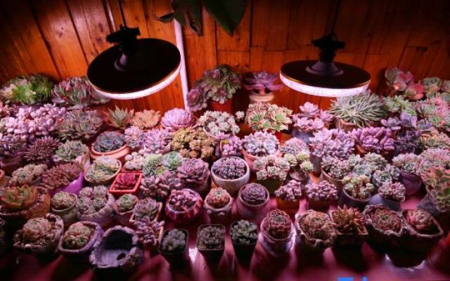 Fenghuang Shanjianxishui Courtyard Inn