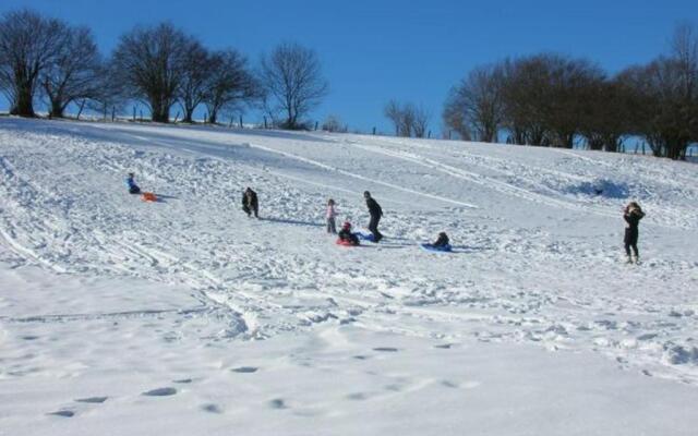 Chalet Saint-Nabord, 4 pièces, 6 personnes - FR-1-589-255