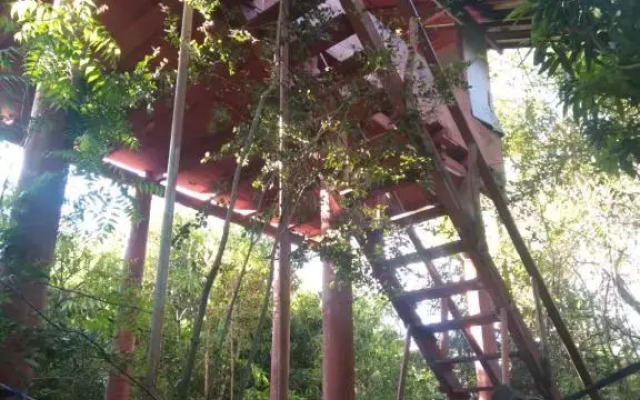 Dambulla Tree House