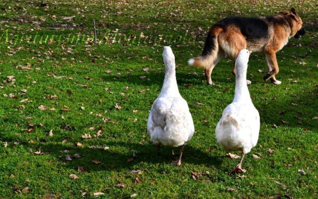 Agriturismo Montagnola Abruzzo