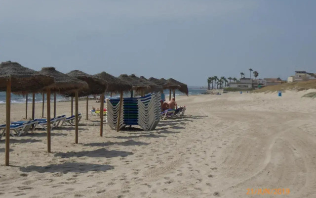 Higuericas Costa 211