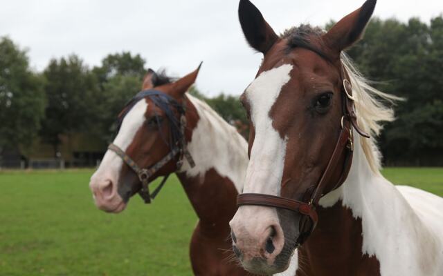 Romantic Villa With a Dishwasher, Near a National Park