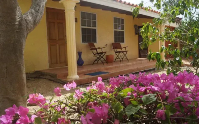 Guesthouse Aruba