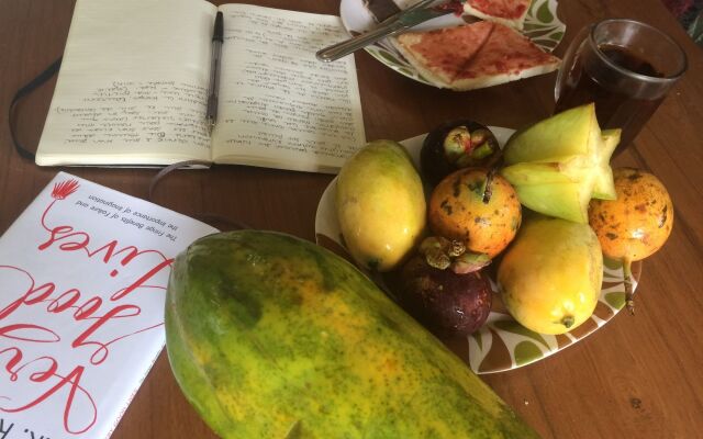 Mango Tree Dipudjo Homestay