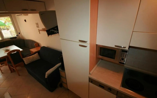 Apartment Ana