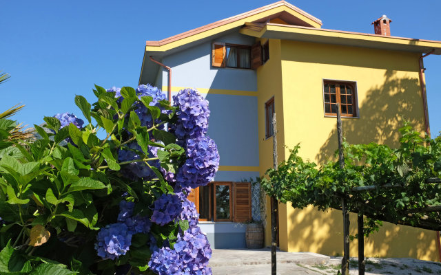 Villa Elisa