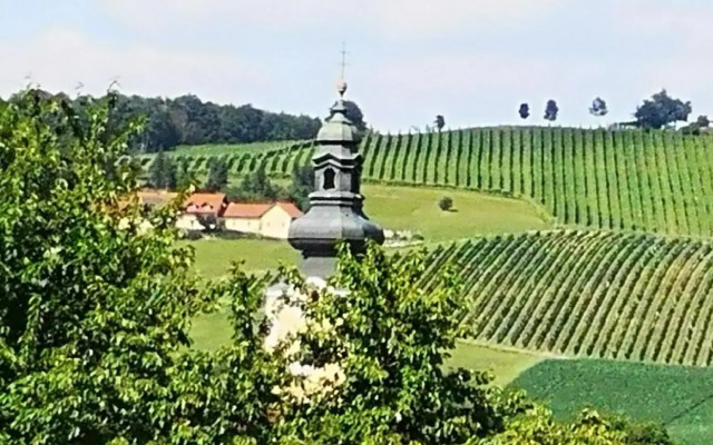 Goldener Hahn Apartments