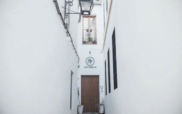 Lofts Trigo 13