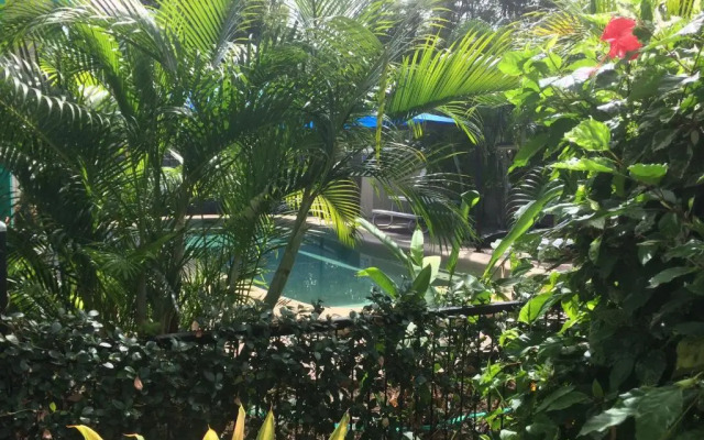 Tropical Palms Resort & 4WD Hire