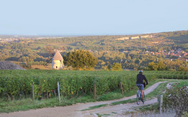 Vinihôtel
