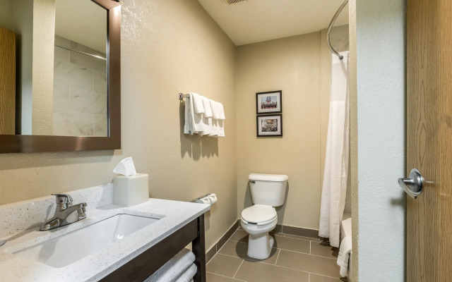 Comfort Inn Downtown