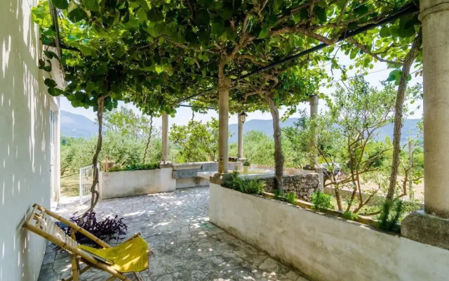 Holiday Home Field of Olives