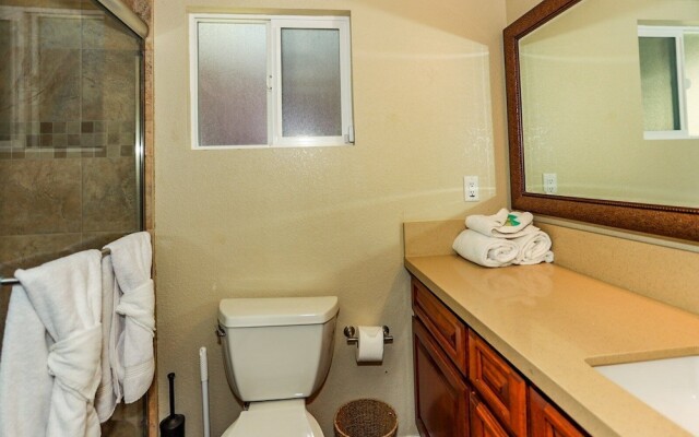 Bohemia BIG Bear #1926