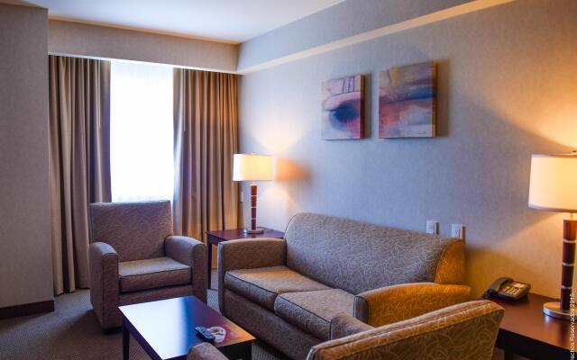 Crowne Plaza Leon by IHG