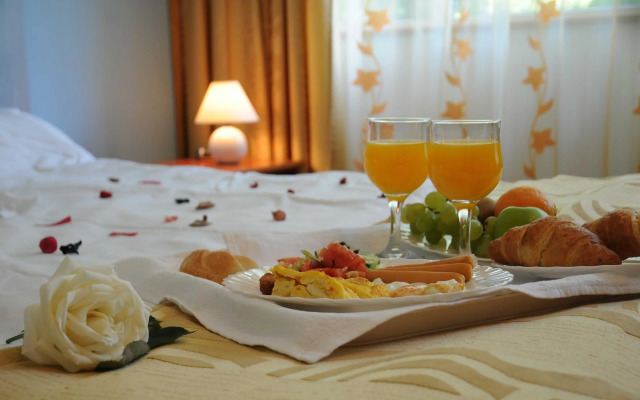 Hotel Herastrau