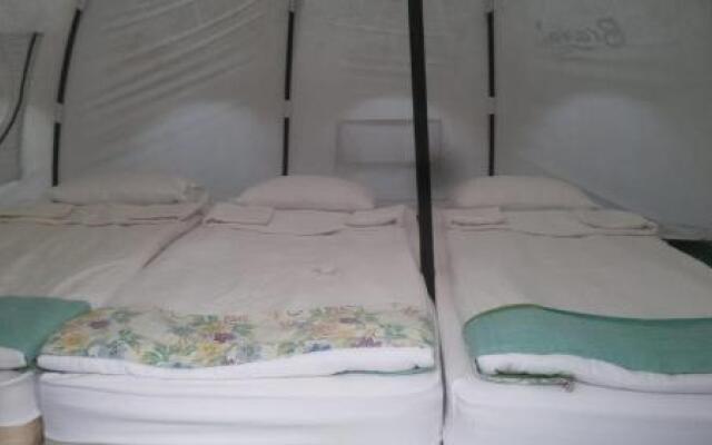 Bravo Adventure Glamping