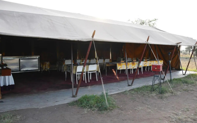 Serengeti Wild Camp