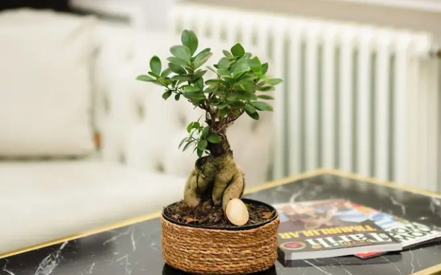 Ilion Hotel Canakkale